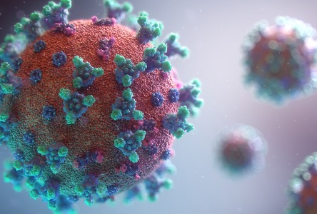Was müssen Sie über Viruserkrankungen wissen?