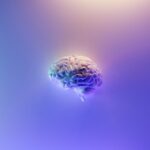 Was passiert mit dem Gehirn bei der Alzheimer-Krankheit?